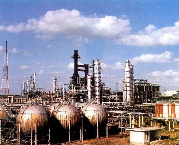 建國后最大間諜案:廣州機(jī)場截獲2只老鼠,體內(nèi)藏絕密情報?